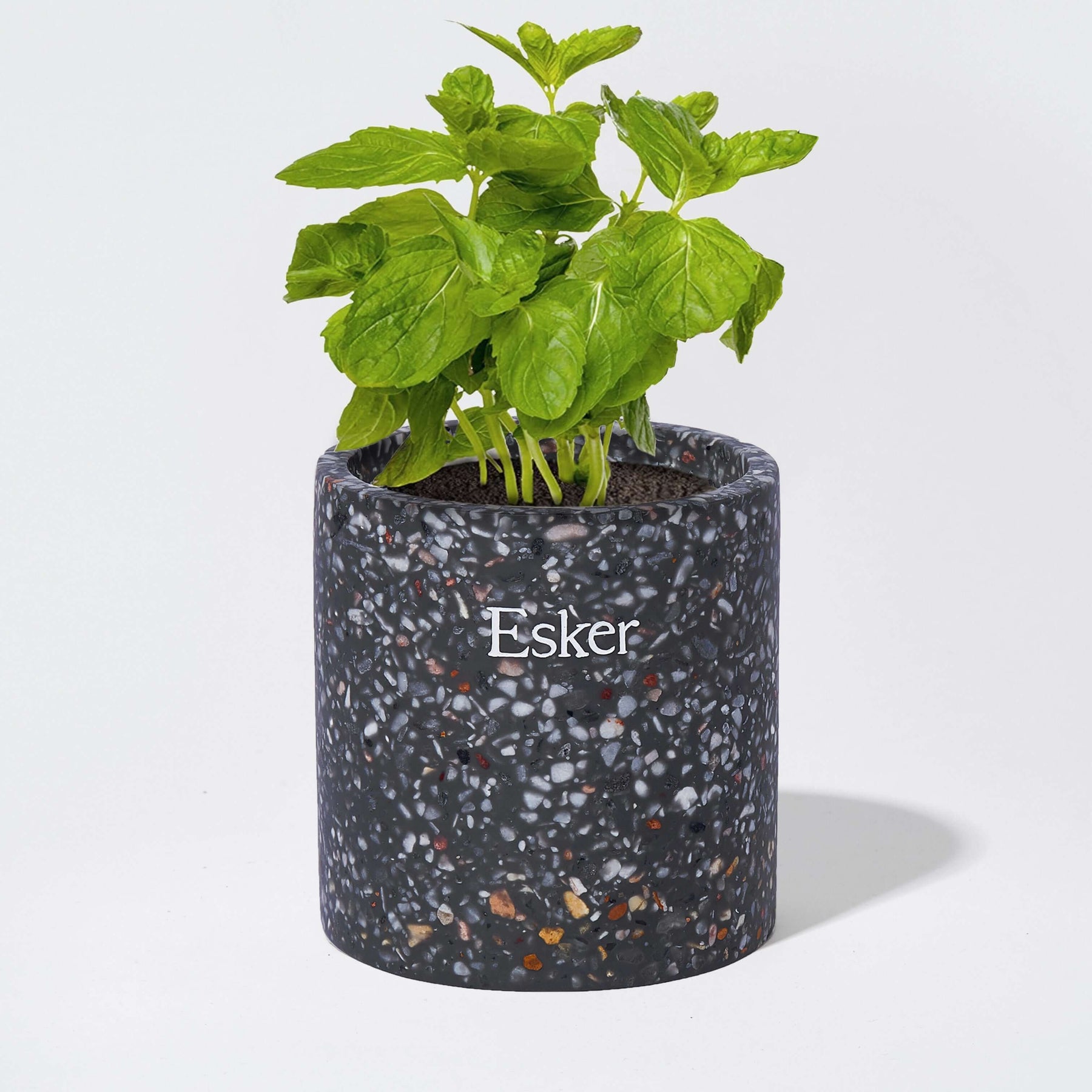 Travertine Plantable Candle - Esker