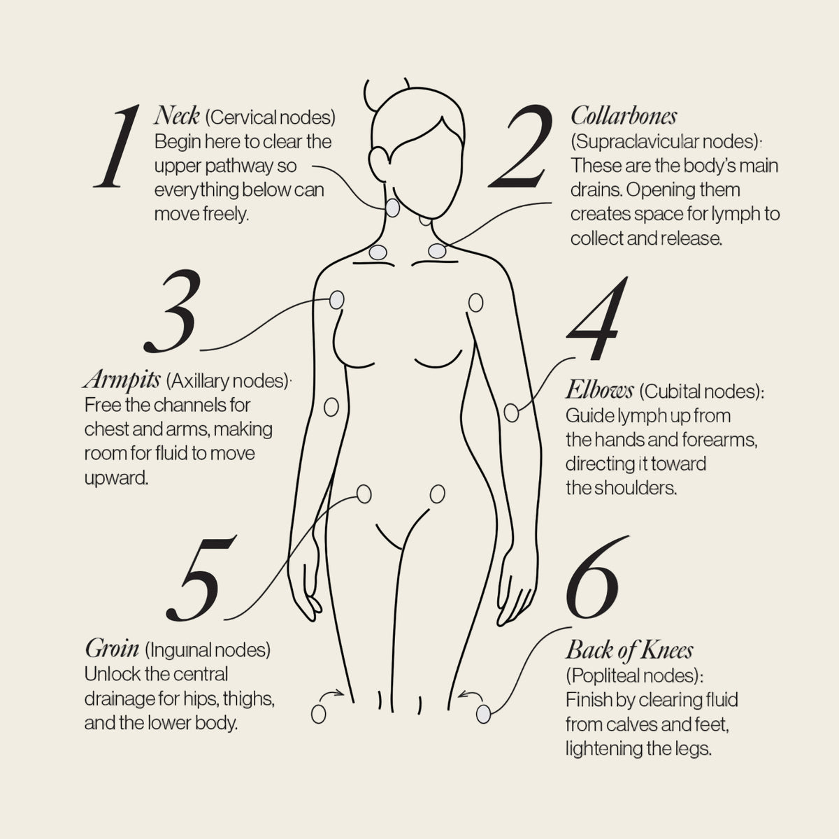 Lymphatic Drainage Dots - Esker