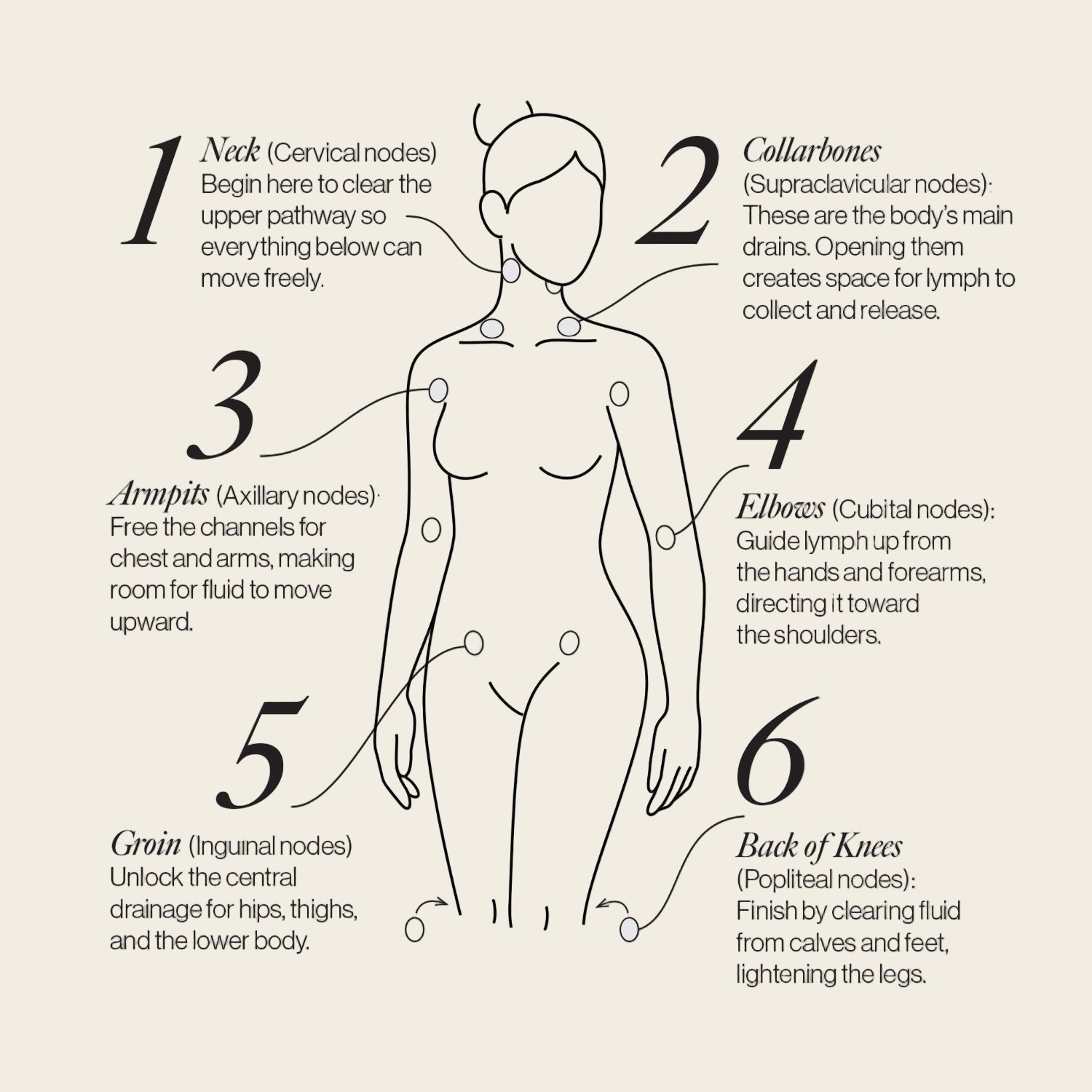 Lymphatic Drainage Dots