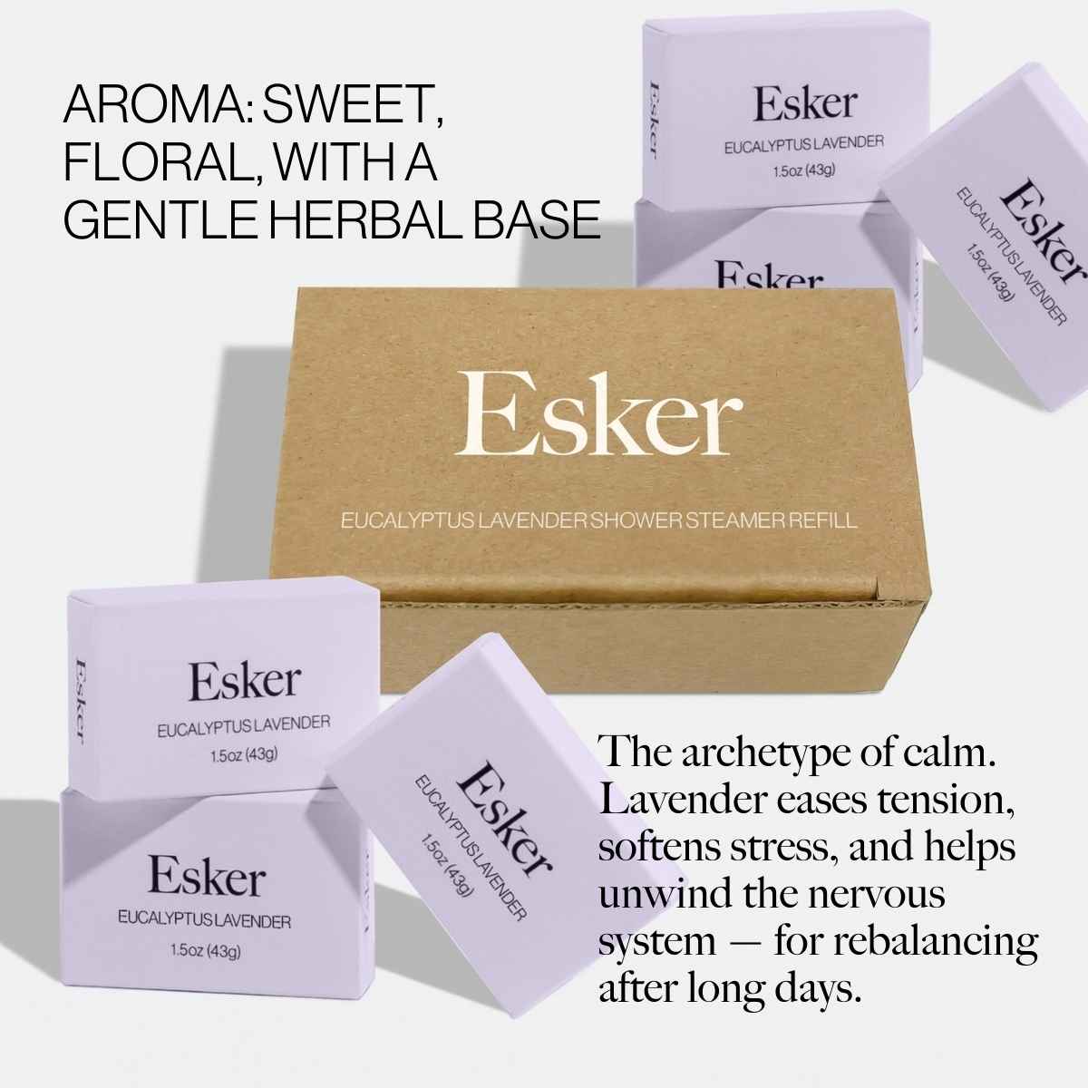 Shower Steamer Aromatherapy Refill Tablets - Esker