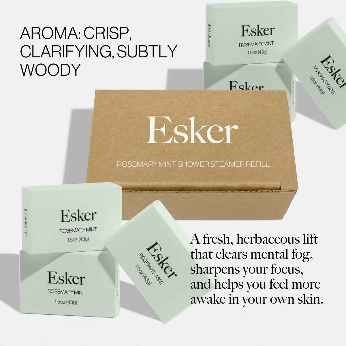 Shower Steamer Aromatherapy Refill Tablets - Esker
