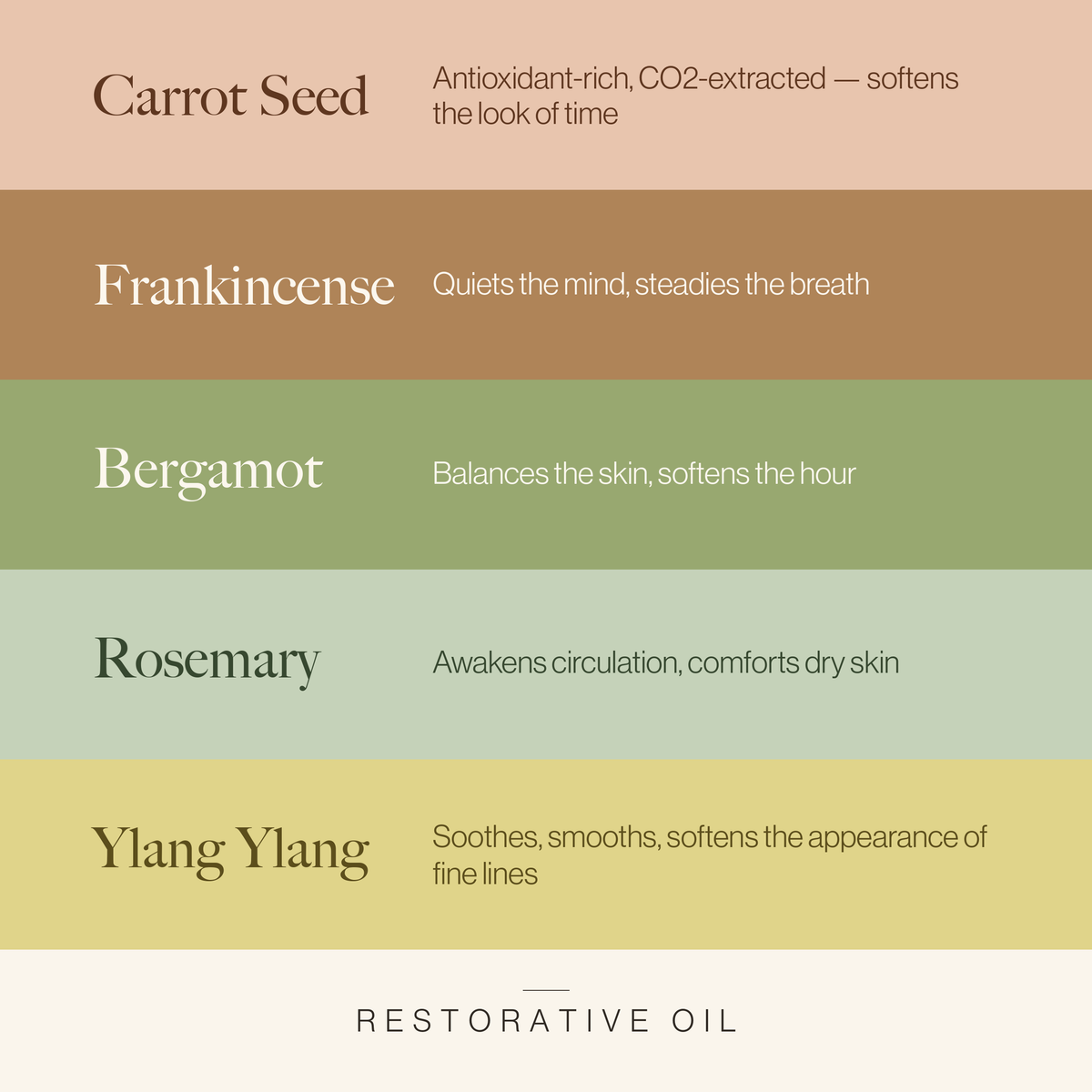Restorative Oil key botanicals chart: carrot seed, frankincense, bergamot, rosemary, and ylang ylang - Esker