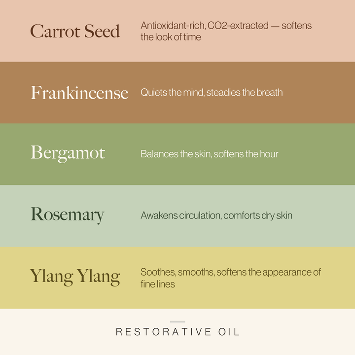 Restorative Oil key botanicals chart: carrot seed, frankincense, bergamot, rosemary, and ylang ylang - Esker