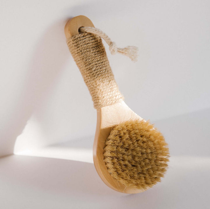 Esker Natural Bristle Dry Brush resting on a bright surface in soft light
