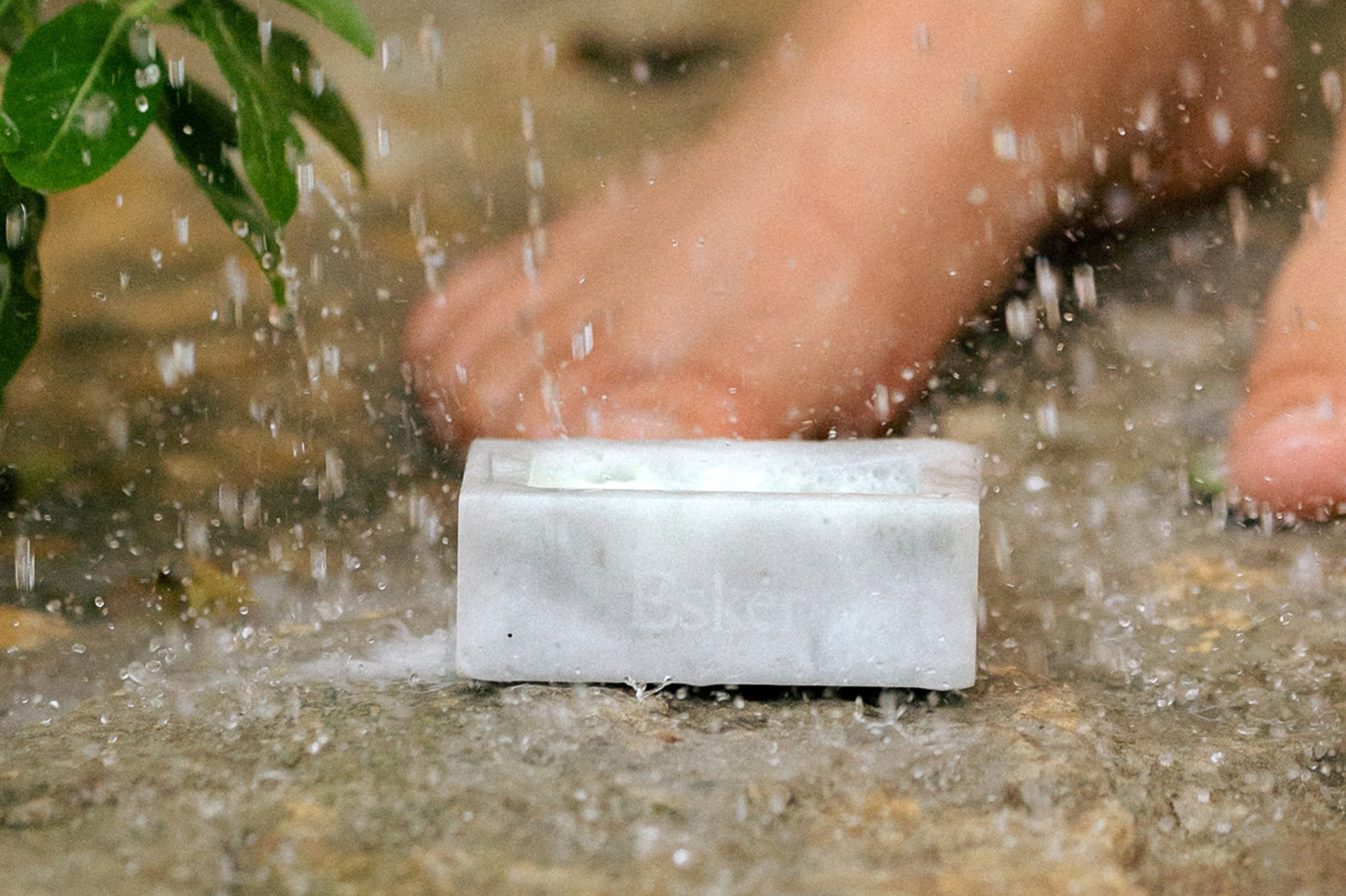 Shower Steamer Discovery Set