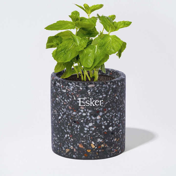 Travertine Plantable Candle - Esker