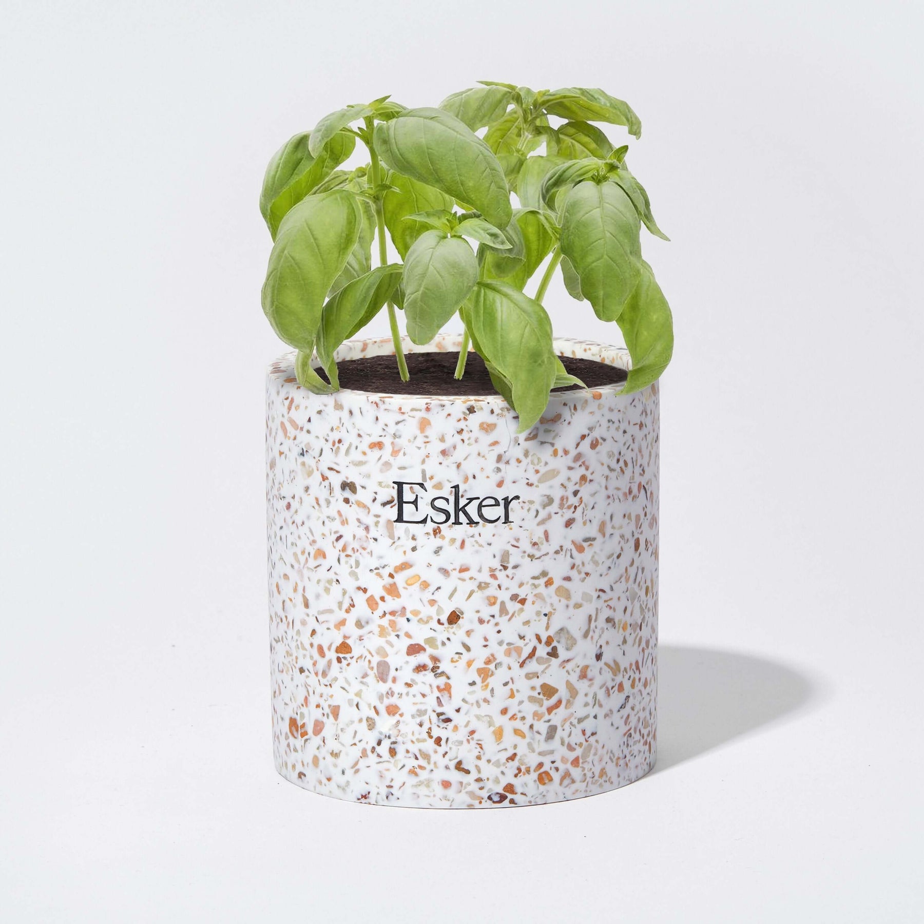 candle to plant pot Esker Beauty Soy Cedar, Palo Santo and Rock Rose Candle with Zero-Waste Packaging