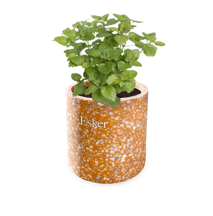 Terracotta Plantable Candle - Esker