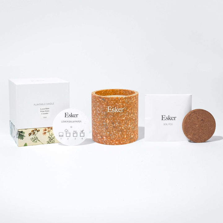 Terracotta Plantable Candle - Esker